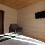карпатська