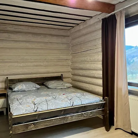 别墅 карпатська