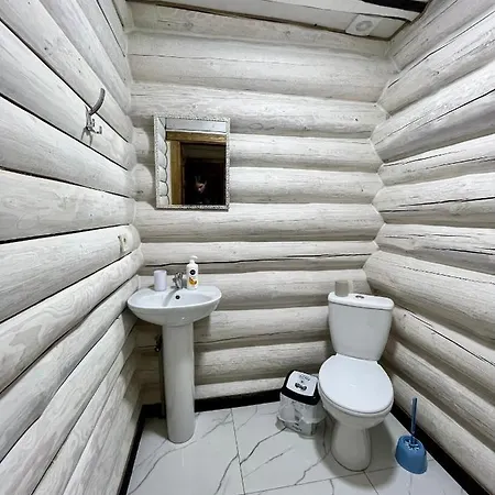 карпатська