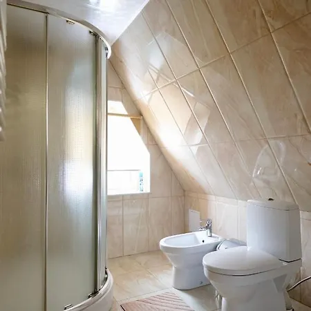 别墅 карпатська