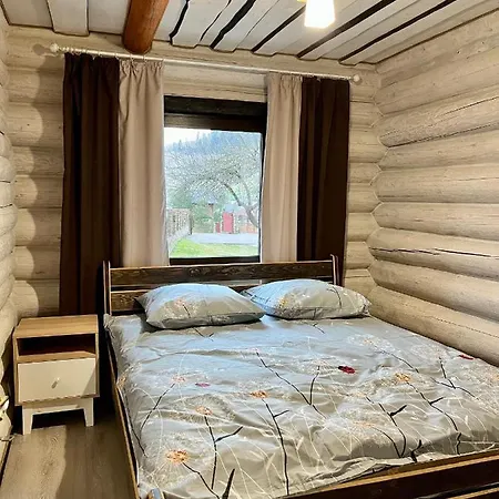 别墅 карпатська