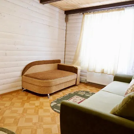 别墅 карпатська