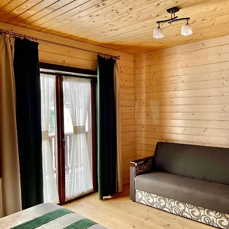 карпатська