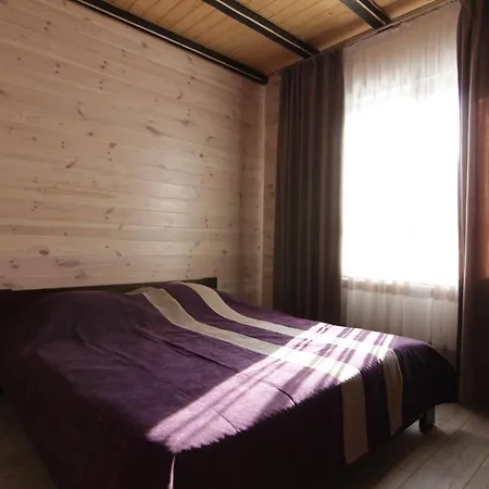 карпатська 别墅 *