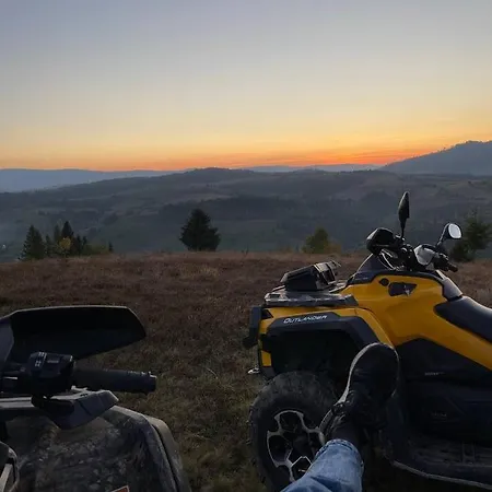 карпатська * Plave